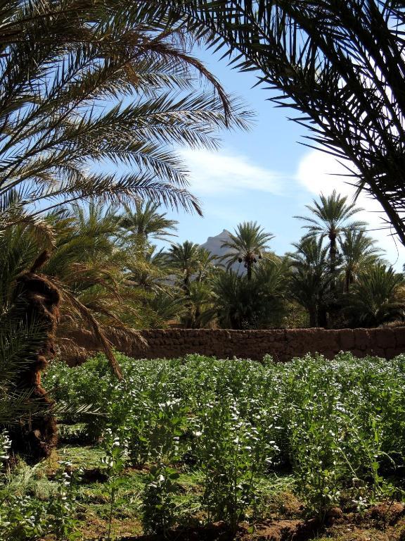 فندق Dar Qamar أكدز المظهر الخارجي الصورة